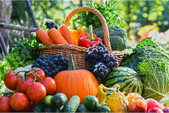 Fruit Ripening